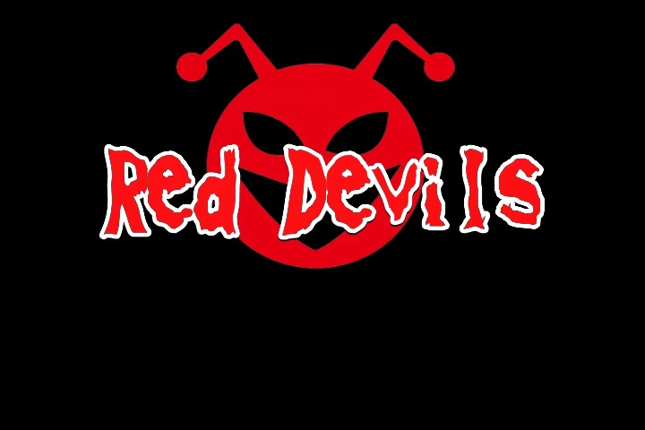 『Red Devils』のコンセプト　今後の予定等